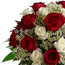 Wiedervereinigung Blumen Florist- Rote und weiße Rosen Bouquet/Blumenschmuck