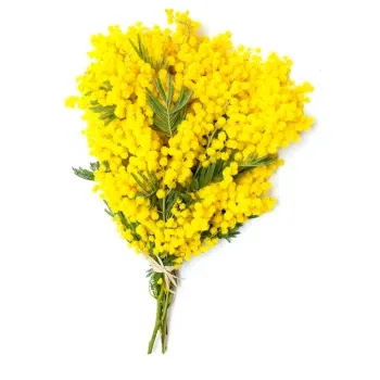 fiorista fiori di Sardinia- Raffinato Bouquet Di Mimose