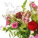 Vanlose flowers  -  Bouquet Pampering Time Flower Bouquet/Arrangement