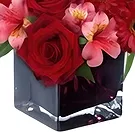 Greece flowers  -  DAZZLING LOVE Flower Bouquet/Arrangement