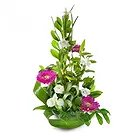 Cala Llonga flowers  -  Winter's Grace Display Flower Bouquet/Arrangement