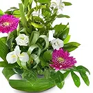 Cala Llonga flowers  -  Winter's Grace Display Flower Bouquet/Arrangement