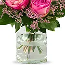 Holland blommor- Kärleksfull rosmix | Odlare Bukett/blomsterarrangemang