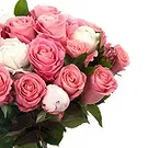 fiorista fiori di Firenze- Bouquet di rose bianche e rosa Bouquet floreale