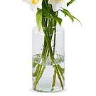Maastricht Blumen Florist- Lilien - Weiße Himmelslilien Bouquet/Blumenschmuck