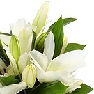Gjesdal bloemen bloemist- Elegante witte lelie-arrangement Boeket/bloemstuk