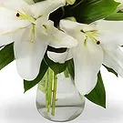 Gjesdal bloemen bloemist- Elegante witte lelie-arrangement Boeket/bloemstuk
