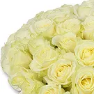 Garhoud flowers  -  PURE PASSION Flower Bouquet/Arrangement