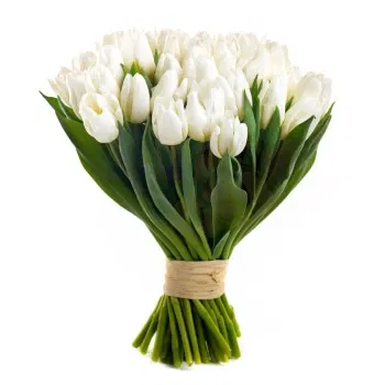 Włochy kwiaty- Bukiet Białych Tulipanów