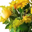 Chile flowers  -  Yellow Field Flowers Arrangement Flower Bouquet/Arrangement