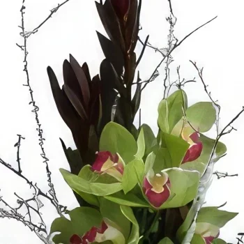 Cascais kwiaty- Wesołych Świąt Bukiet ikiebana