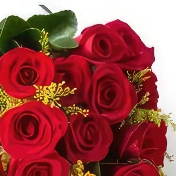サンパウロ 花- 19本の紅バラの伝統的な花束 花束/フラワーアレンジメント