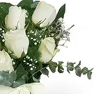 Cala Llonga flowers  -  Ethereal Snowfall Bouquet Flower Bouquet/Arrangement