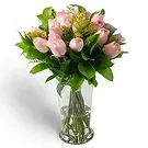 Brasilien Blumen Florist- Arrangement von 18 rosa Rosen und TopfLaub Bouquet/Blumenschmuck