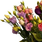 fleuriste fleurs de Jette- Lisianthus Bouquet/Arrangement floral
