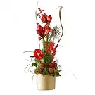 Smederevska Palanka flowers  -  Christmas arrangement red Flower Bouquet/Arrangement