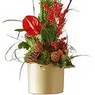 Smederevska Palanka flowers  -  Christmas arrangement red Flower Bouquet/Arrangement