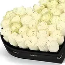 Taunton flowers  -  Simply you Flower Bouquet/Arrangement