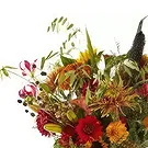 Aalborg blomster- Solnedgang Blomsterarrangementer bukett