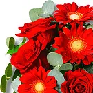 Italy flowers  -  Eternal Desire: Crimson Floral Fusion Flower Bouquet/Arrangement