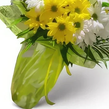 Ибиса цветя- Винаги се усмихвай Букет/договореност цвете