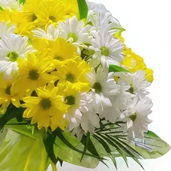 Ибиса цветя- Винаги се усмихвай Букет/договореност цвете