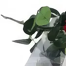Cala Llonga flowers  -  Eternal Blooms Flower Bouquet/Arrangement
