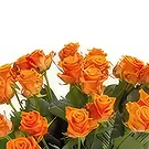 Borino bloemen bloemist- Rozentuin Boeket/bloemstuk