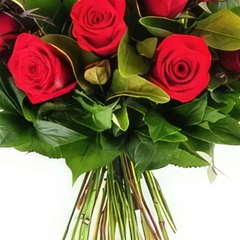 Ciro Redondo bunga- Indah Sejambak/gubahan bunga