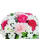 Bistrec bloemen bloemist- Boxed tuinen Boeket/bloemstuk