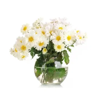 Włochy kwiaty- Bukiet Białych Stokrotek W Wazonie