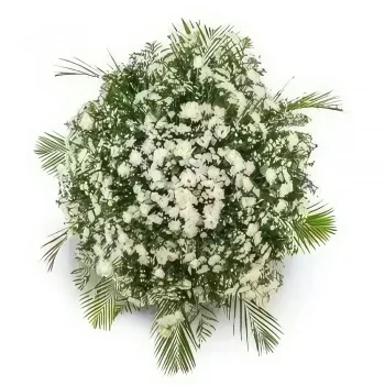 Salvador kukat- Ylellinen surunvalittelujen kruunu Kukka kukkakimppu