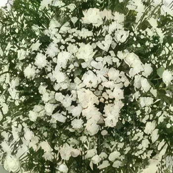 fiorista fiori di San Paolo- Lussuosa Corona delle Condoglianze Bouquet floreale