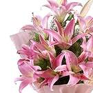 flores de Amã- Nova manhã Bouquet/arranjo de flor