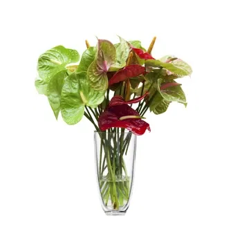 بائع زهور ميلان- باقة من الزهور مع أنثوريوم أحمر