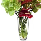 Italy flowers  -  Bunch of Flowers with Red Anthuriums Flower Bouquet/Arrangement