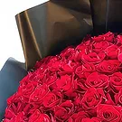 קנדרה פרחים- 100 זר ורדים אדומים זר פרחים/סידור פרחים
