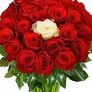 fleuriste fleurs de Bezeck- Toi et moi Bouquet/Arrangement floral