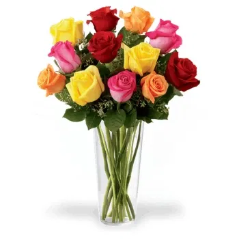 بائع زهور صقلية- باقة من الورود الملونة