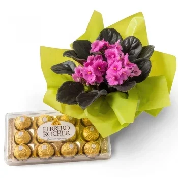 fortaleza kukat- Violetti maljakko lahjaksi ja suklaaksi Kukka kukkakimppu