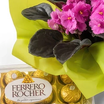 fortaleza kukat- Violetti maljakko lahjaksi ja suklaaksi Kukka kukkakimppu