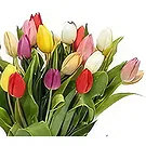 Ad Dilam blomster- Fantastiske tulipaner Blomsterarrangementer bukett