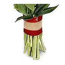 Ad Dilam blomster- Fantastiske tulipaner Blomsterarrangementer bukett