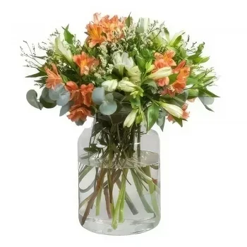 بائع زهور توريمولينوس- مفاجأة صغيرة باقة الزهور
