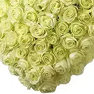 Teremendo de los Reyes flowers  -  Life forever Flower Bouquet/Arrangement
