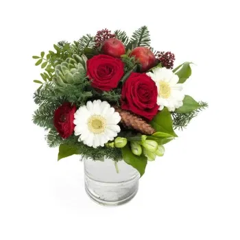 بائع زهور صقلية- باقة عيد الميلاد باللونين الأبيض والأحمر
