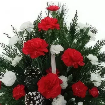 Ибиса цветя- Празнична червена и бяла кошница Букет/договореност цвете