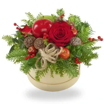 fiorista fiori di Norvegia- Ringrazia Babbo Natale Fiore Consegna