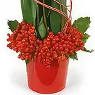 Le François flowers  -  Flame red roses composition Flower Bouquet/Arrangement