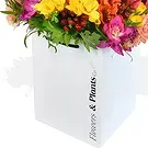 Taunton flowers  -  Bright Lights and Moet Flower Bouquet/Arrangement